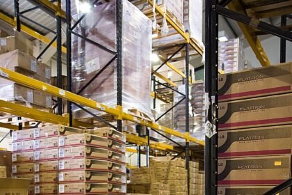 The Power of Data-Driven Insights in Business Decisions