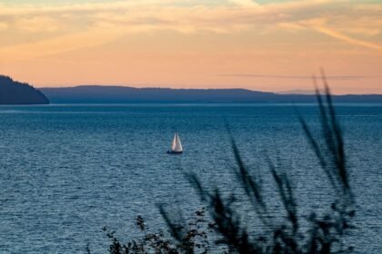 Revitalizing Island Economies through Sustainable Property Initiatives