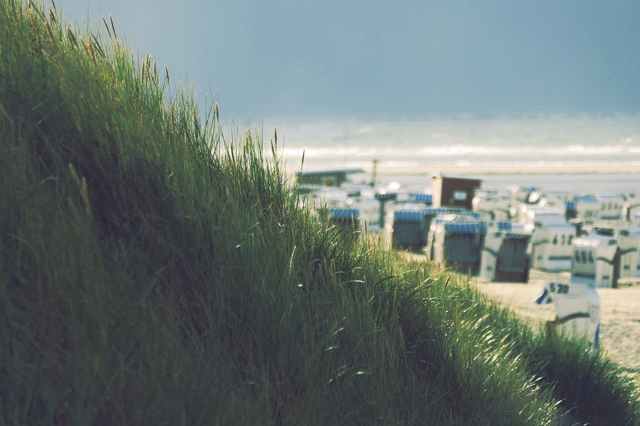 Why Waterfront Properties Are the Ultimate Investment for Beach Lovers