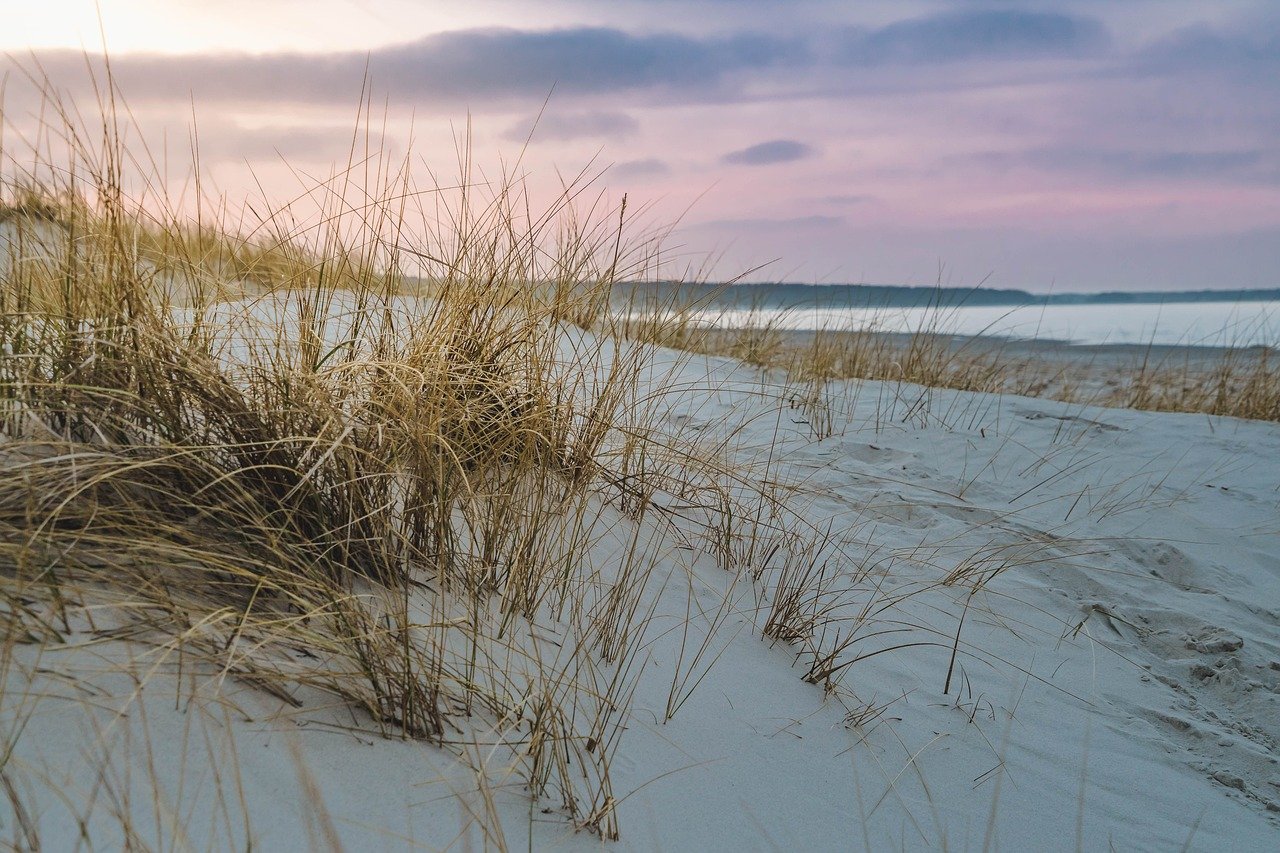 The Future of Sustainable Island Development: Trends and Insights