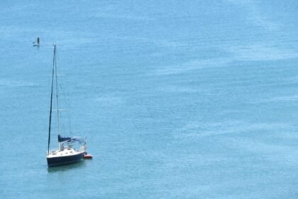 Community-Led Eco Projects on American Islands