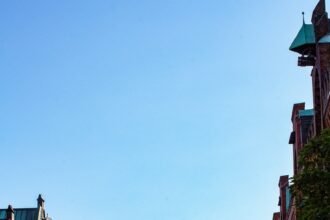 How to Communicate Insights Effectively to Stakeholders