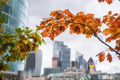 Understanding the Shift Towards Mixed-Use Developments