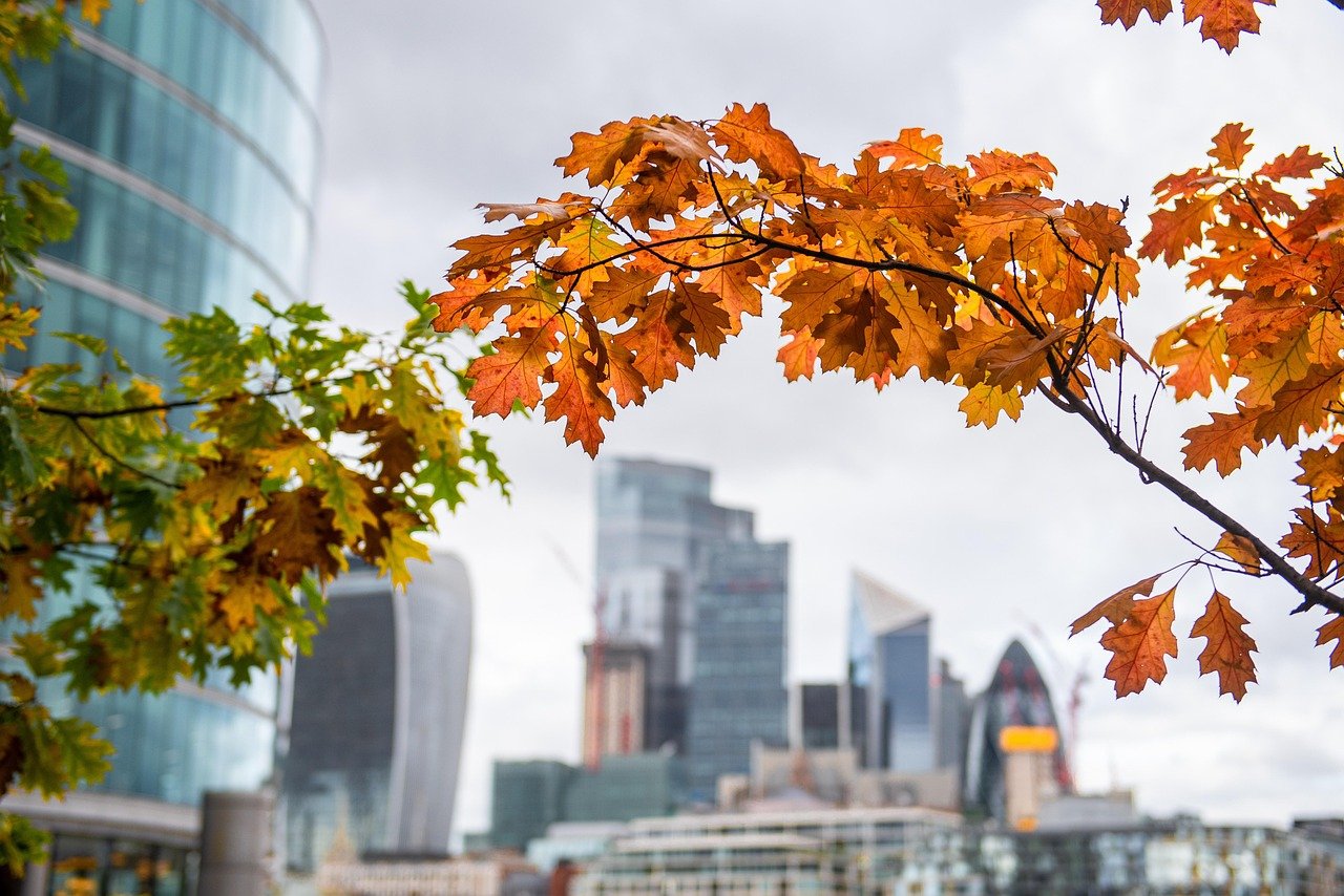 Understanding the Shift Towards Mixed-Use Developments