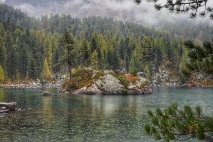 American Islands: A Hotspot for Real Estate Investments and Construction