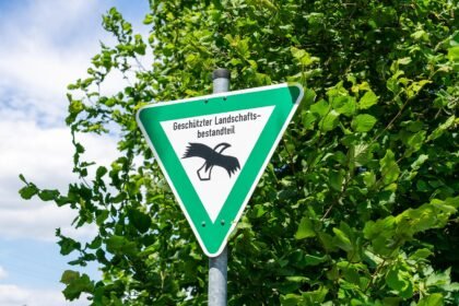 Marine Protected Areas: Safeguarding U.S. Island Ecosystems