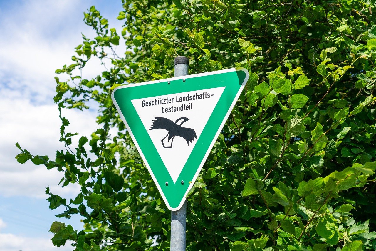 Marine Protected Areas: Safeguarding U.S. Island Ecosystems