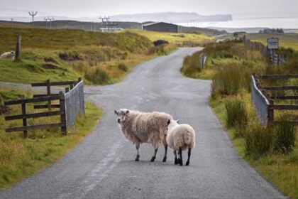 Navigating the Intersection of Tourism and Eco-Conscious Real Estate