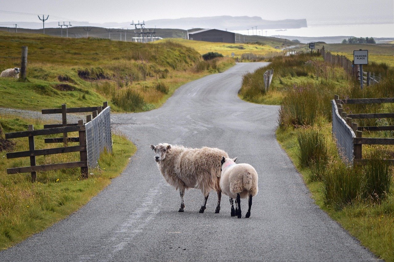 Navigating the Intersection of Tourism and Eco-Conscious Real Estate