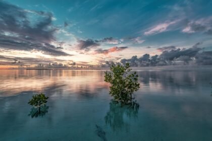 Eco-Conscious Developments: The Future of Island Living