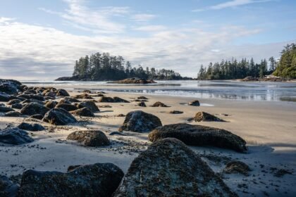 Island Living Trends: Embracing Nature and Community in Real Estate