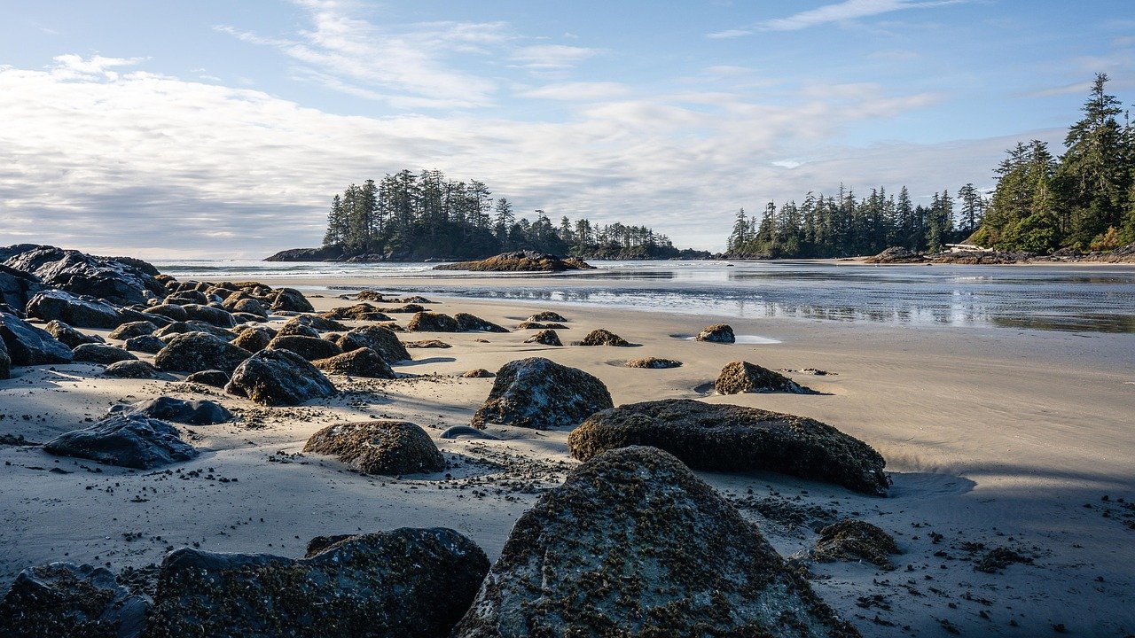 Island Living Trends: Embracing Nature and Community in Real Estate