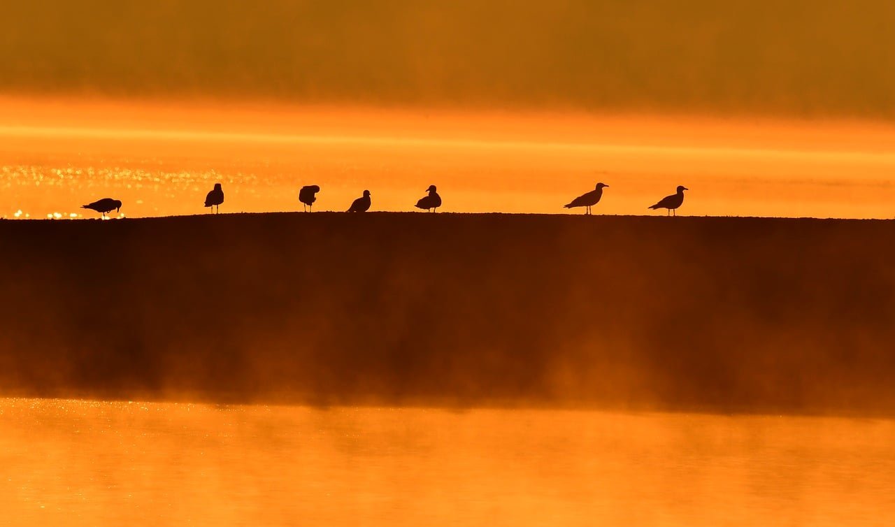 The Intersection of Conservation and Development in U.S. Islands