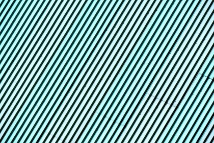 The Rise of AI in Warehouse Management Systems
