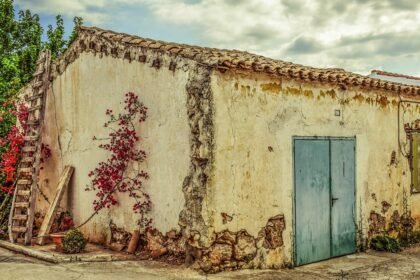 Innovations in Warehouse Design: A Focus on Sustainability