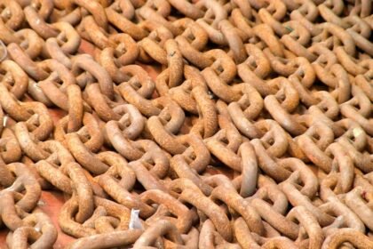 Enhancing Supply Chain Resilience through Efficient Logistics