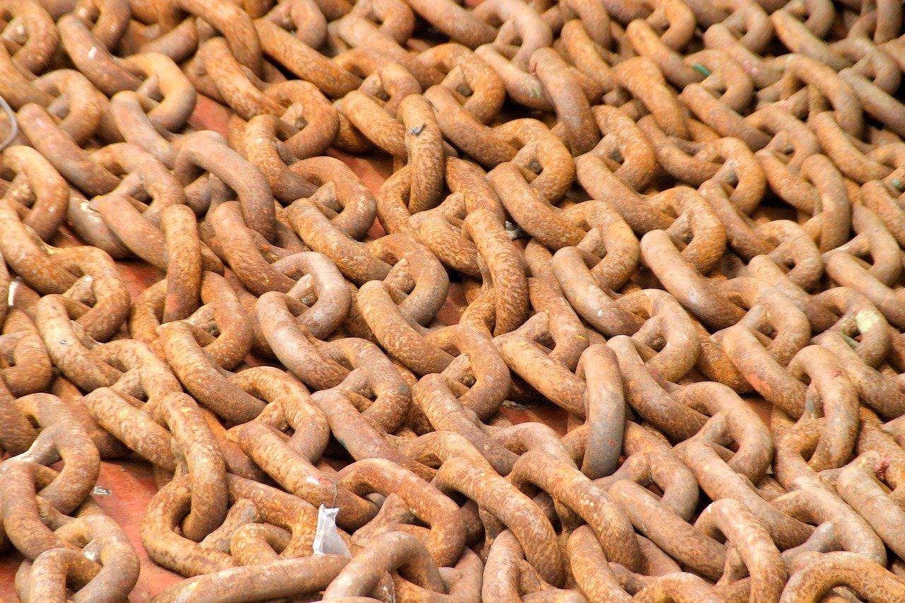 Enhancing Supply Chain Resilience through Efficient Logistics