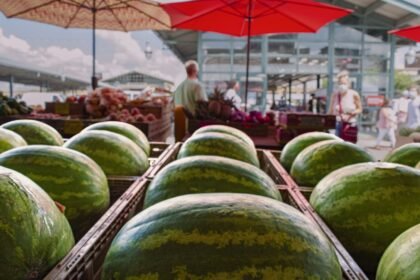 Evaluating Market Performance: Insights from Recent Real Estate Reports