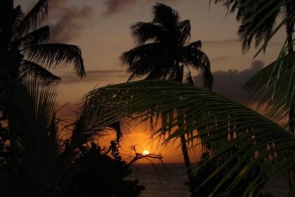 Luxury or Sustainability? Balancing Real Estate Trends in Island Resorts