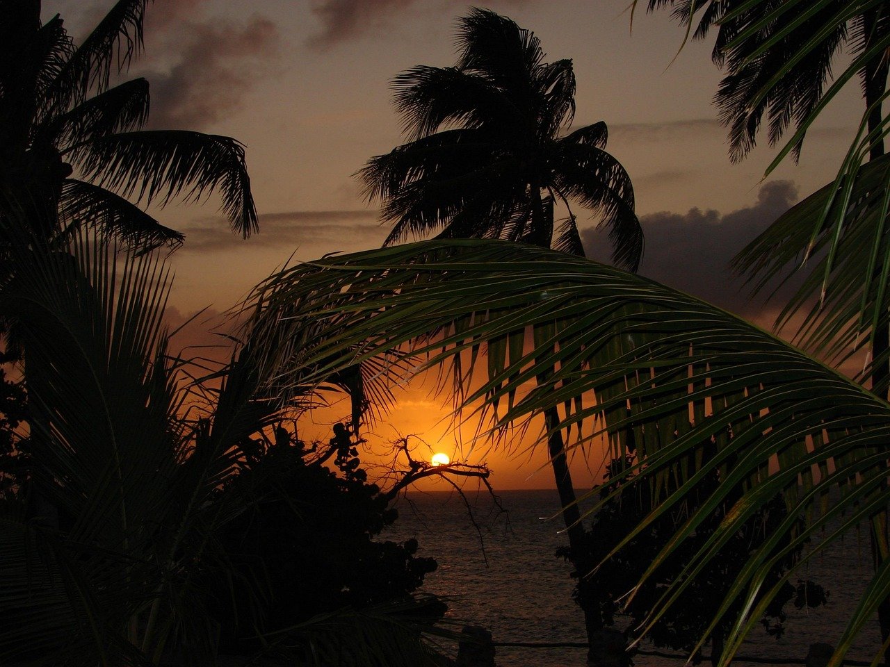 Luxury or Sustainability? Balancing Real Estate Trends in Island Resorts