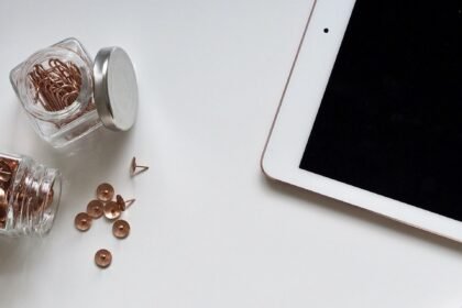 The Resilience of Brick-and-Mortar Stores in a Digital World