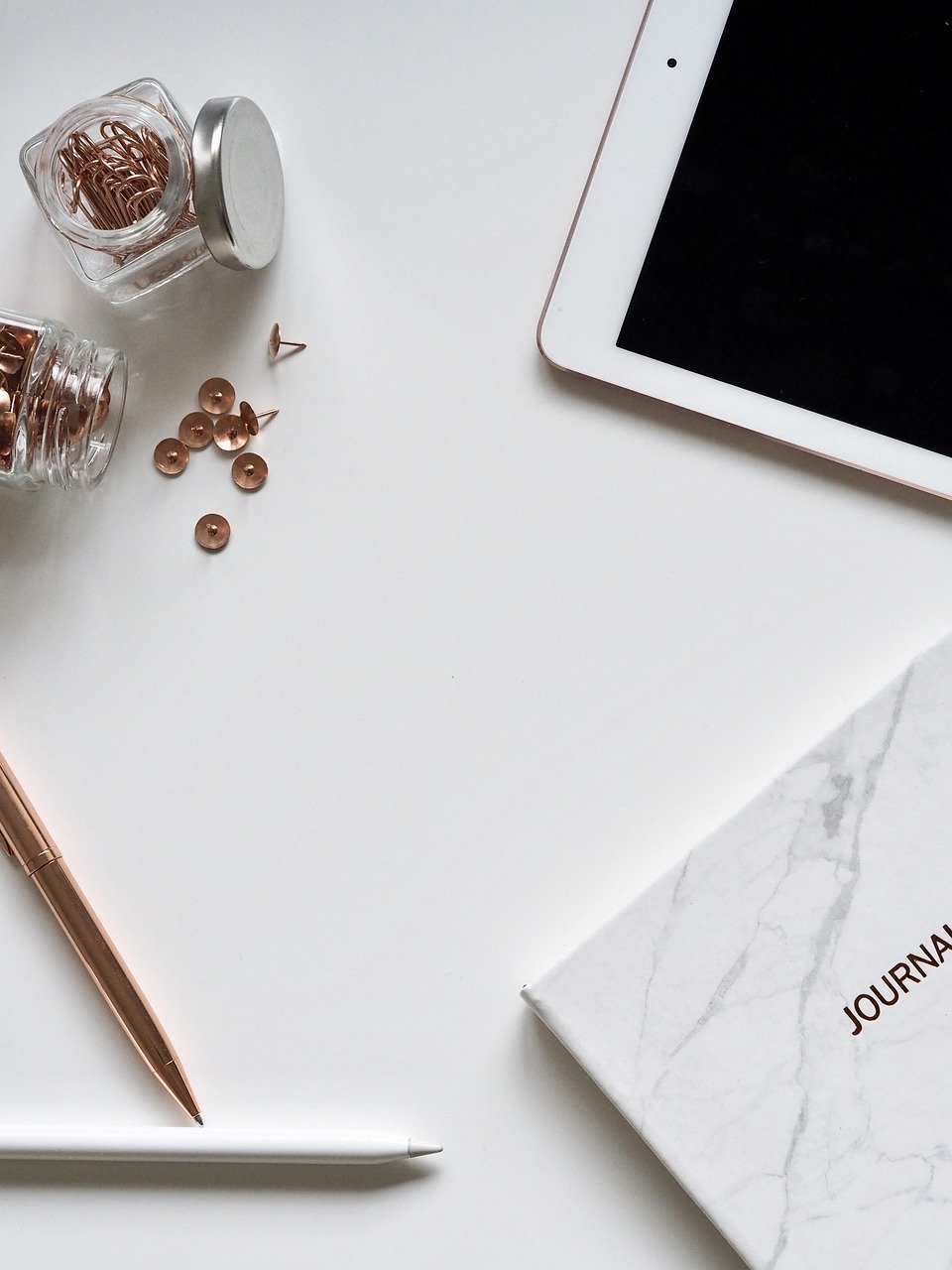 The Resilience of Brick-and-Mortar Stores in a Digital World