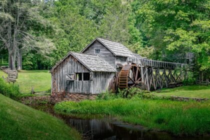Exploring Biophilic Design in American Architecture