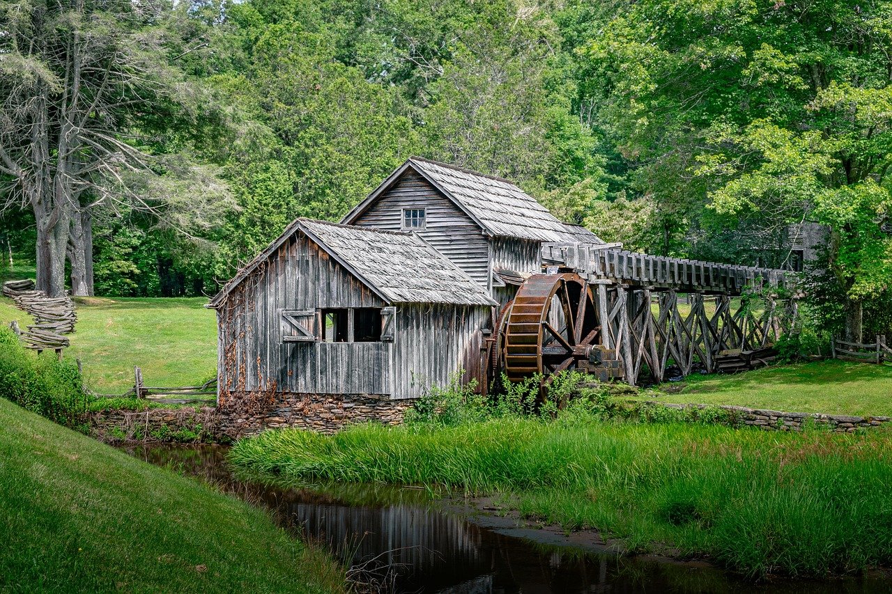 Exploring Biophilic Design in American Architecture