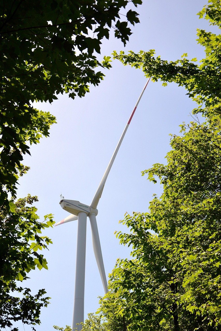 Sustainable Living: New Eco-Friendly Developments on US Islands