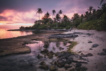 Investment Insights: What’s Hot in the American Caribbean Real Estate Market