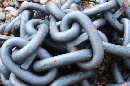 Supply Chain Innovations That Are Reshaping US Logistics Facilities