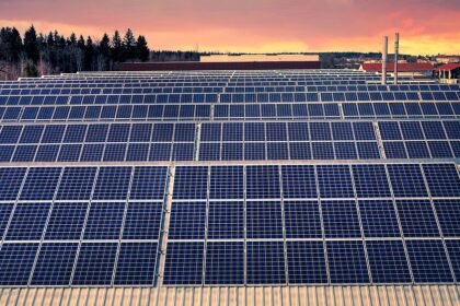 Community Partnerships for Green Island Developments