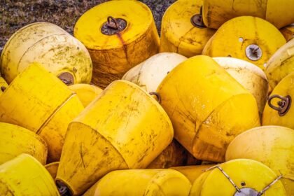 Adapting to Change: Warehouse Flexibility in a Post-Pandemic World