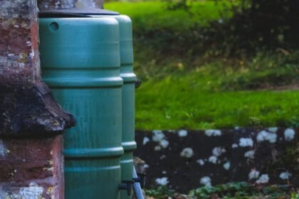 Resilient and Responsible: Green Development Strategies for US Islands